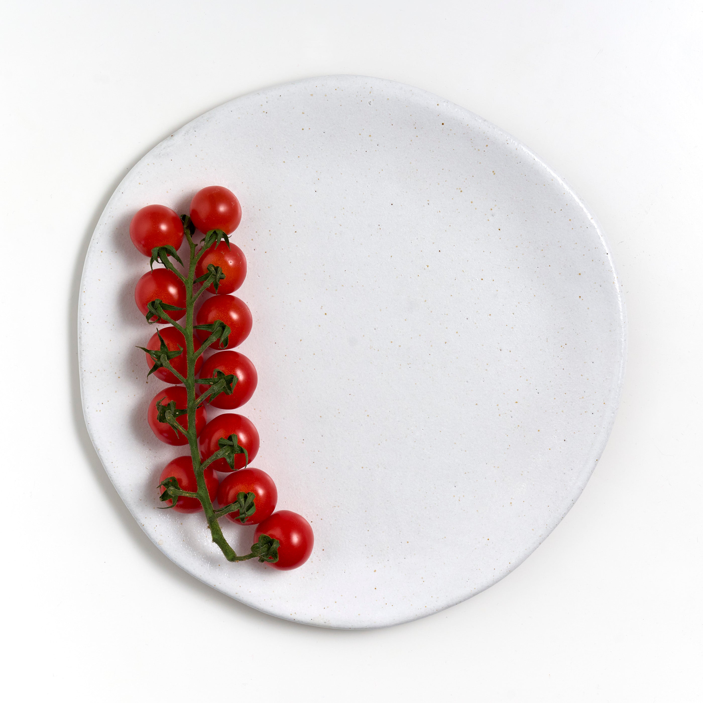 Press Moulded Plates: Large - Vintage White